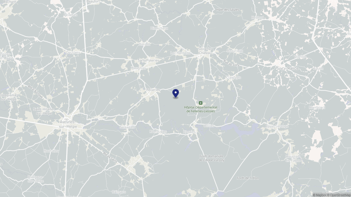 Aperçu cartographique de Felleries, centré sur la commune