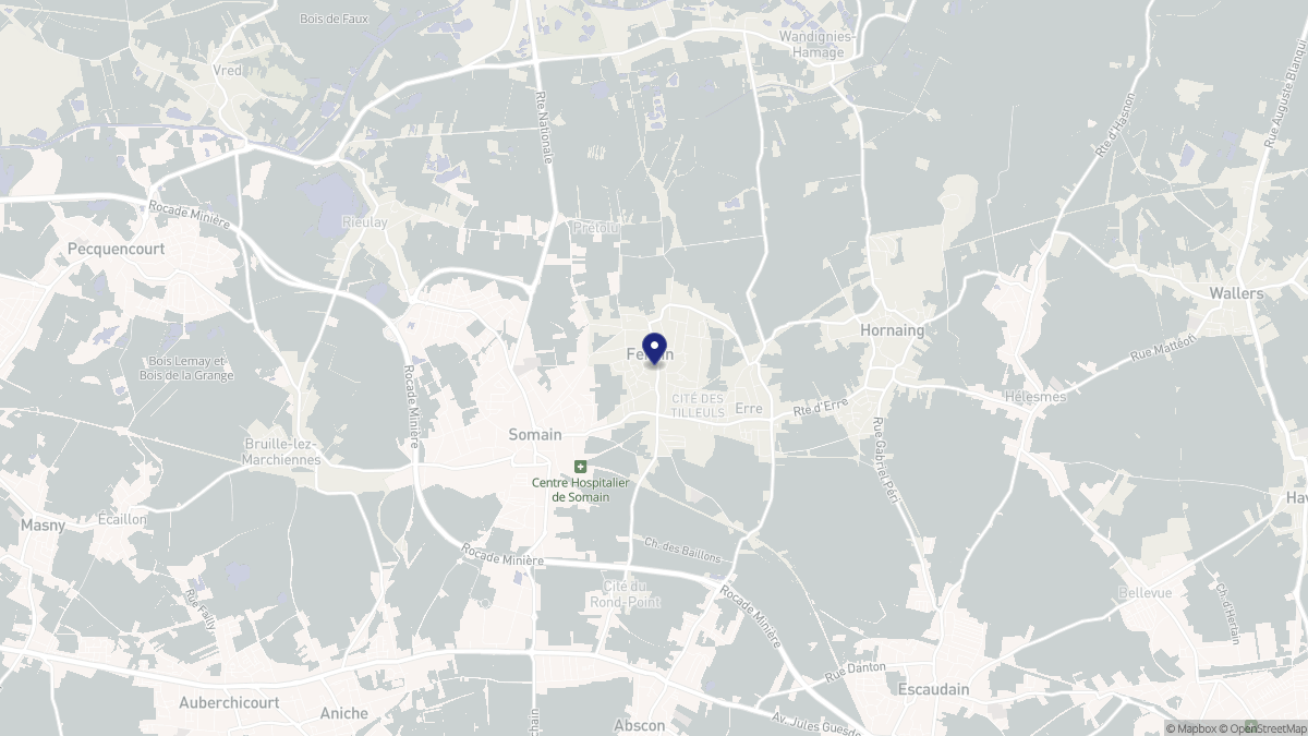 Aperçu cartographique de Fenain, centré sur la commune