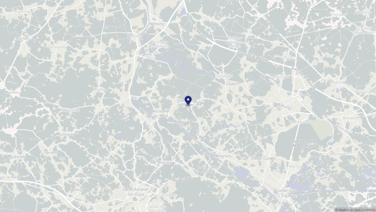 Aperçu cartographique de Flines-lès-Mortagne, centré sur la commune