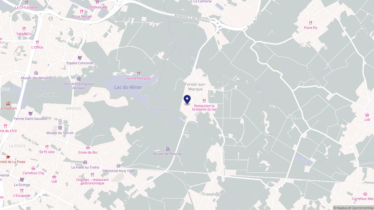Aperçu cartographique de Forest-sur-Marque, centré sur la commune