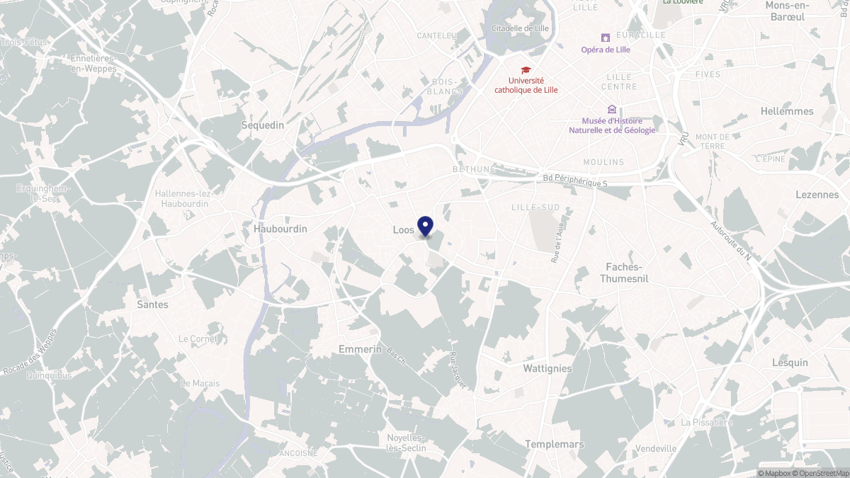 Aperçu cartographique de Loos, centré sur la commune