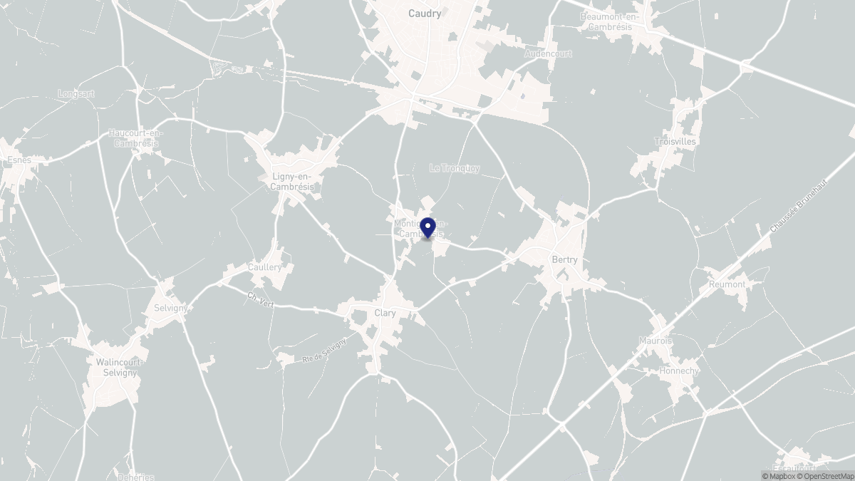 Aperçu cartographique de Montigny-en-Cambrésis, centré sur la commune