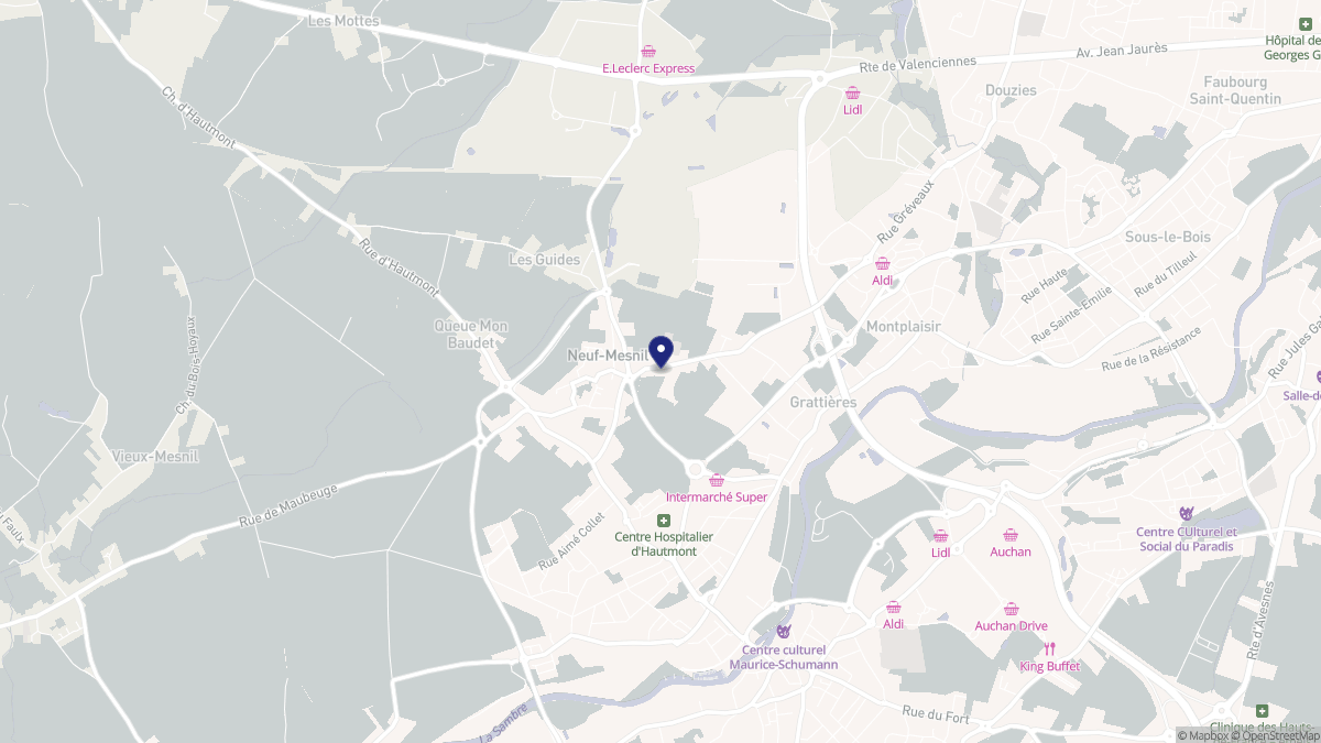 Aperçu cartographique de Neuf-Mesnil, centré sur la commune