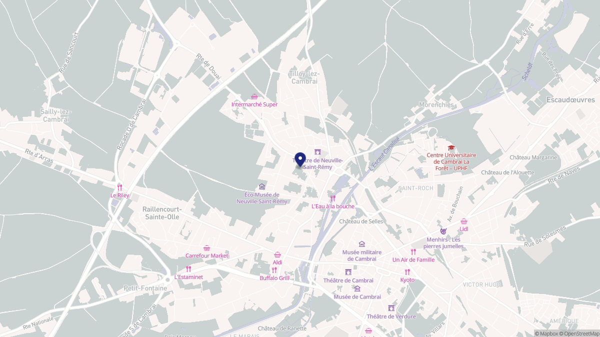 Aperçu cartographique de Neuville-Saint-Rémy, centré sur la commune