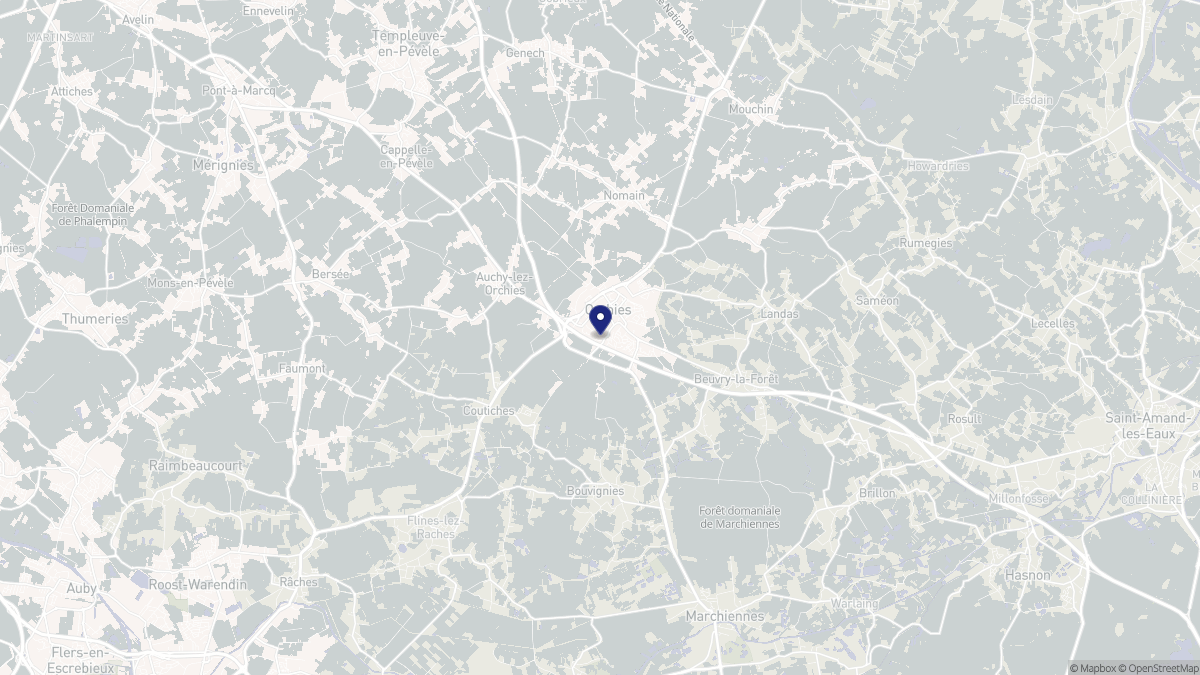 Aperçu cartographique de Orchies, centré sur la commune