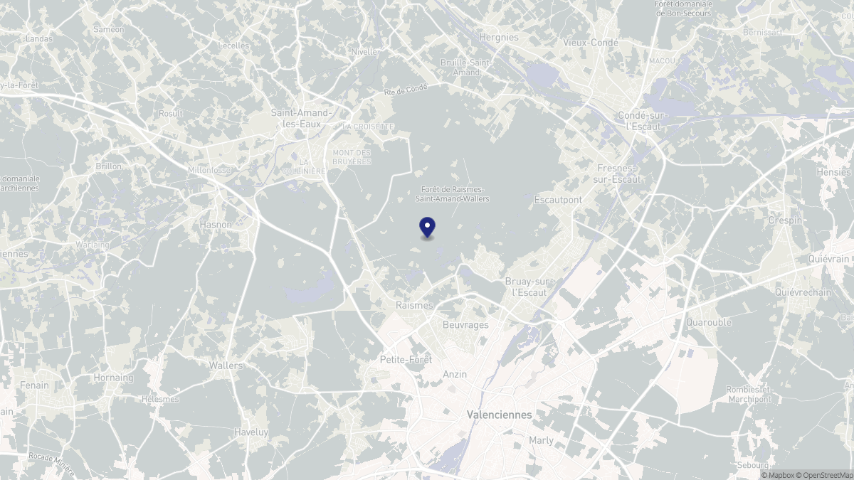 Aperçu cartographique de Raismes, centré sur la commune