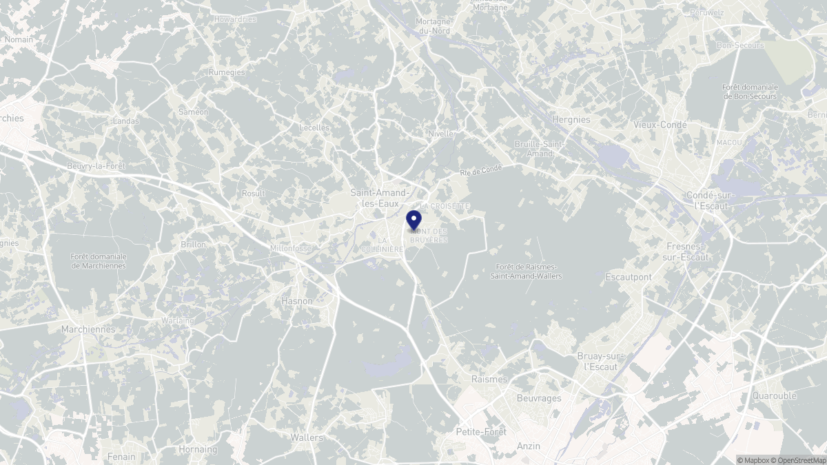 Aperçu cartographique de Saint-Amand-les-Eaux, centré sur la commune