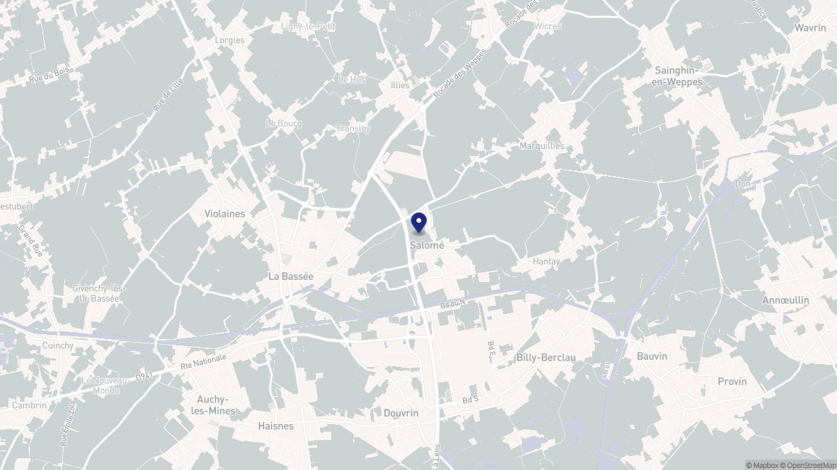 Aperçu cartographique de Salomé, centré sur la commune