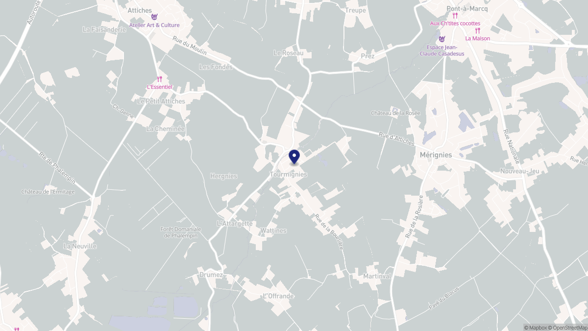 Aperçu cartographique de Tourmignies, centré sur la commune