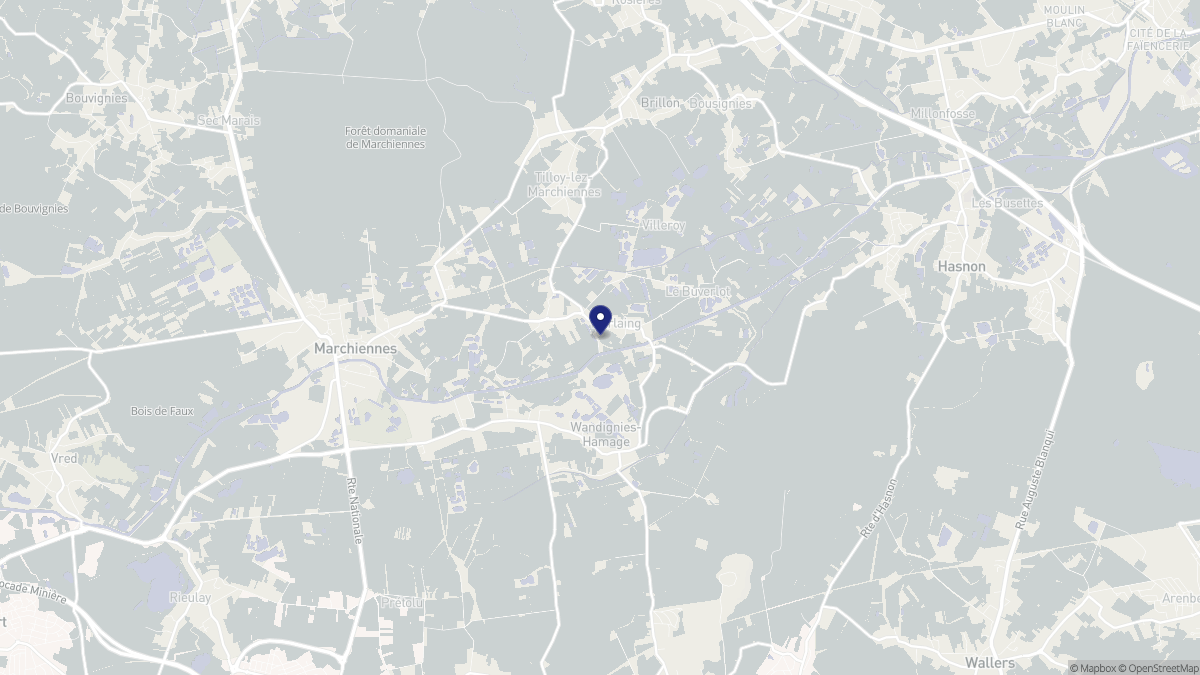 Aperçu cartographique de Warlaing, centré sur la commune