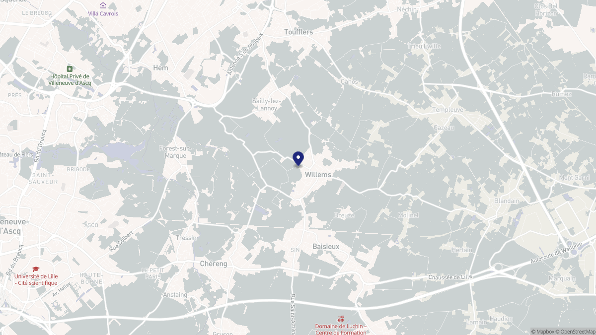 Aperçu cartographique de Willems, centré sur la commune