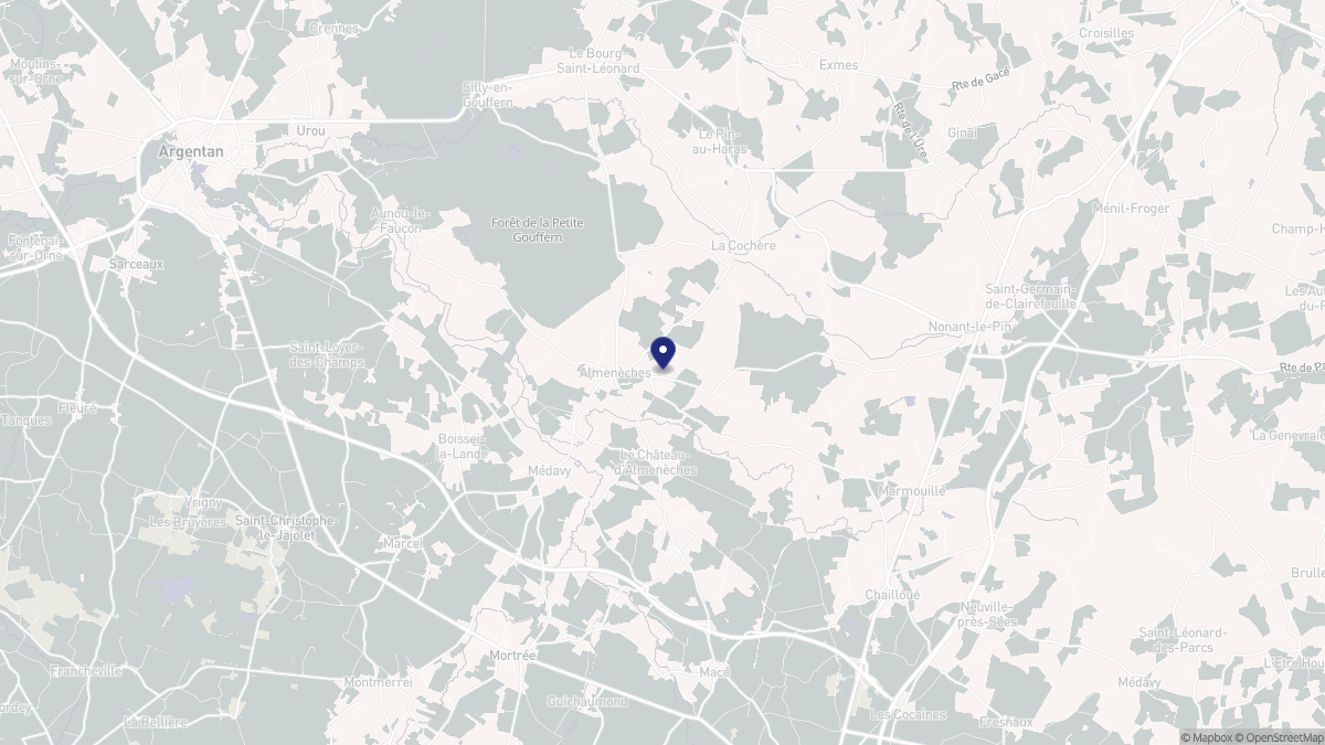 Aperçu cartographique de Almenêches, centré sur la commune