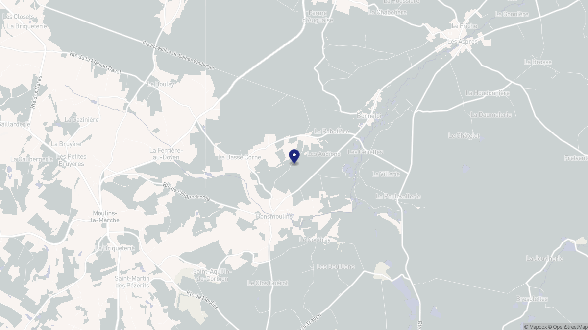 Aperçu cartographique de Bonsmoulins, centré sur la commune