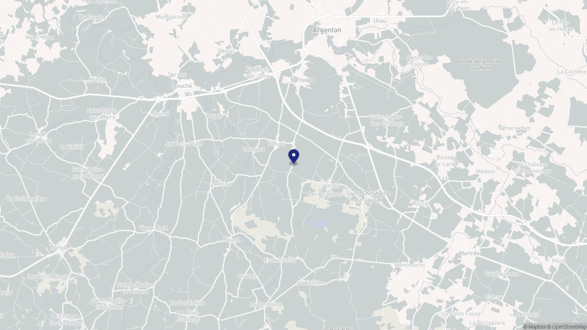Aperçu cartographique de Fleuré, centré sur la commune