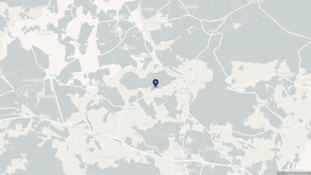 Aperçu cartographique de La Roche-Mabile, centré sur la commune