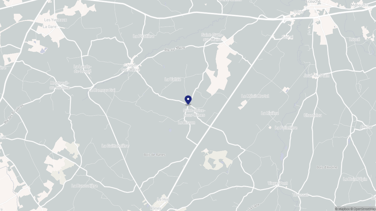 Aperçu cartographique de Saint-Brice-sous-Rânes, centré sur la commune