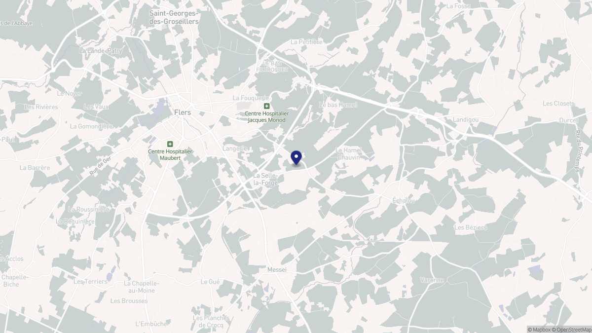 Aperçu cartographique de La Selle-la-Forge, centré sur la commune