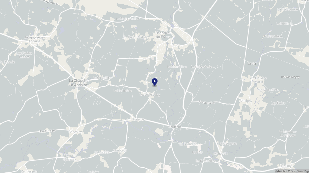 Aperçu cartographique de Tessé-Froulay, centré sur la commune