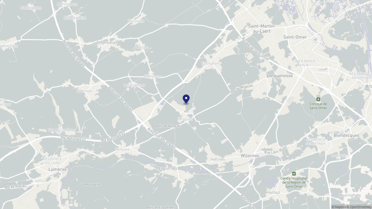Aperçu cartographique de Wisques, centré sur la commune