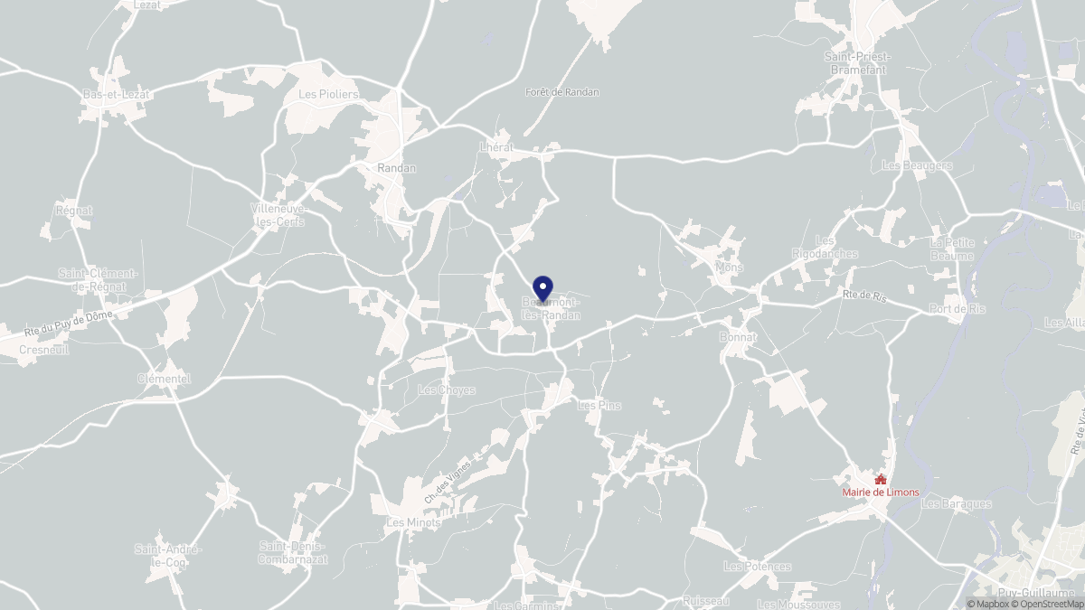 Aperçu cartographique de Beaumont-lès-Randan, centré sur la commune