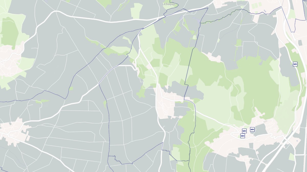 Aperçu cartographique de Bergonne, centré sur la commune