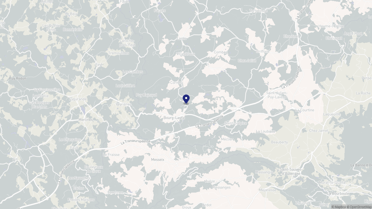 Aperçu cartographique de Bourg-Lastic, centré sur la commune