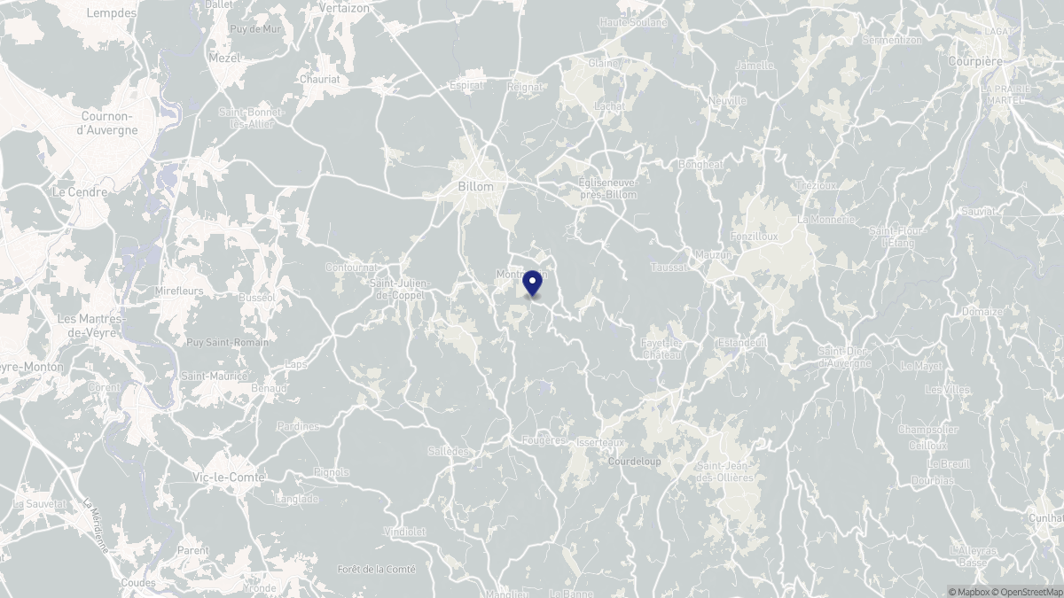 Aperçu cartographique de Montmorin, centré sur la commune