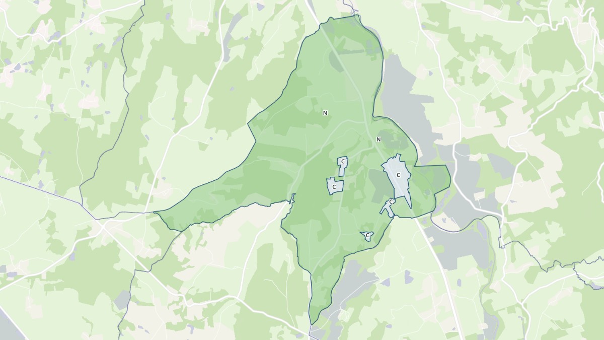Aperçu cartographique de Néronde-sur-Dore, centré sur la commune