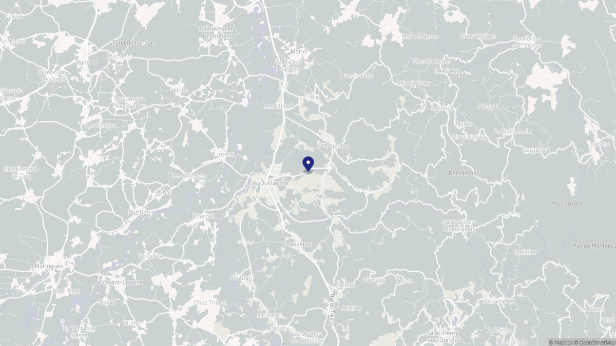 Aperçu cartographique de Puy-Guillaume, centré sur la commune