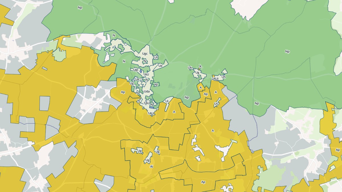 Aperçu cartographique de Randan, centré sur la commune