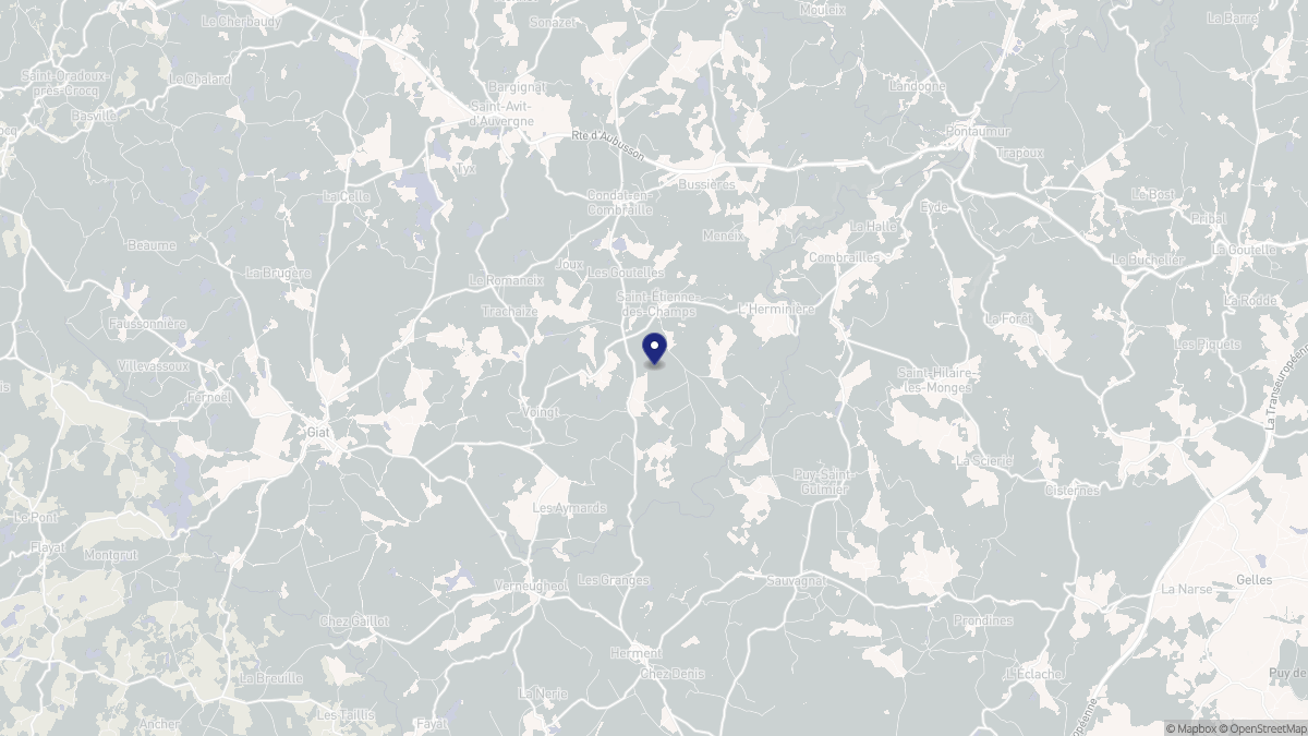 Aperçu cartographique de Saint-Étienne-des-Champs, centré sur la commune