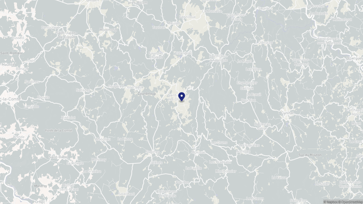 Aperçu cartographique de Saint-Jean-des-Ollières, centré sur la commune