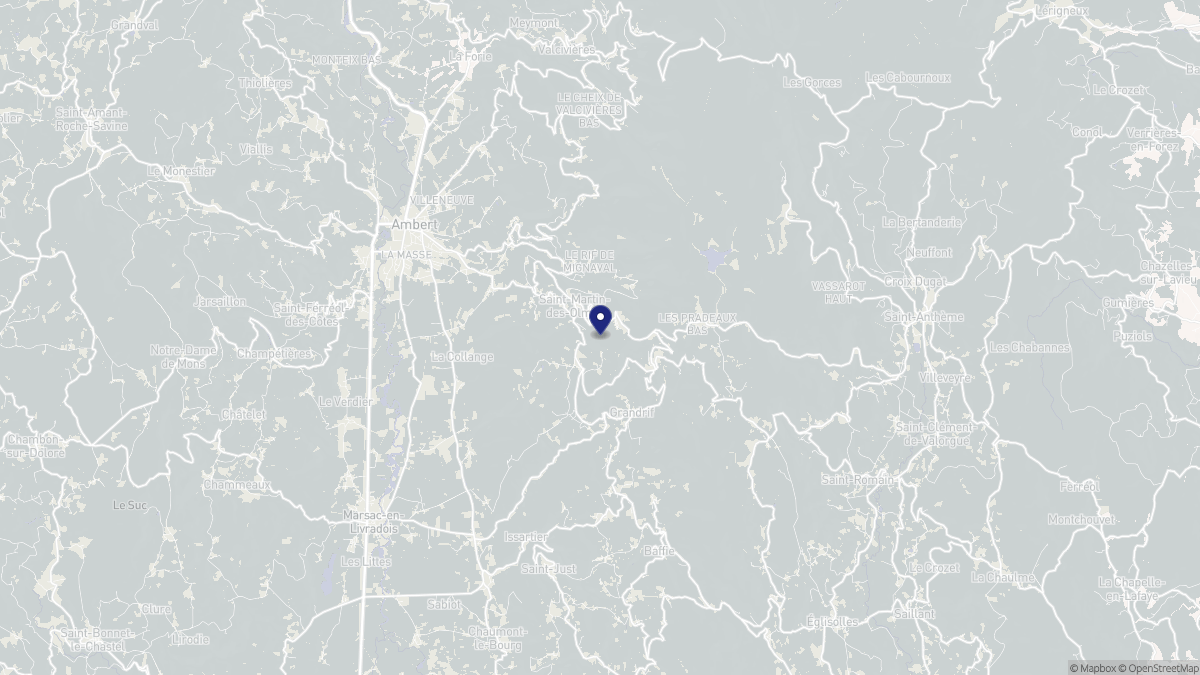 Aperçu cartographique de Saint-Martin-des-Olmes, centré sur la commune