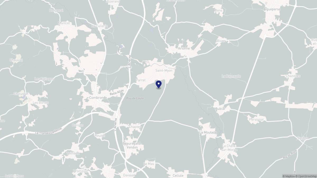 Aperçu cartographique de Saint-Myon, centré sur la commune