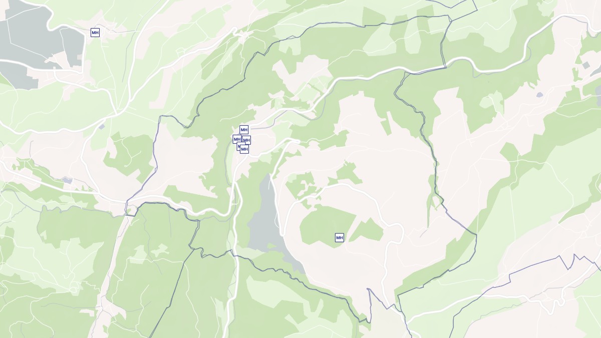 Aperçu cartographique de Saurier, centré sur la commune