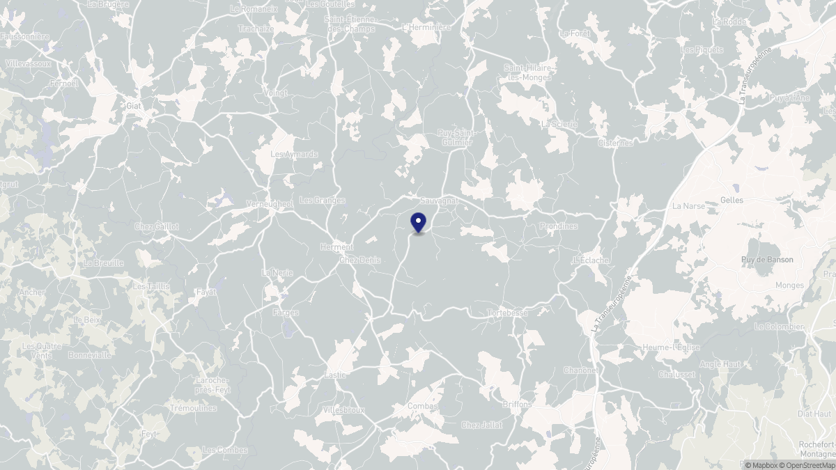 Aperçu cartographique de Sauvagnat, centré sur la commune