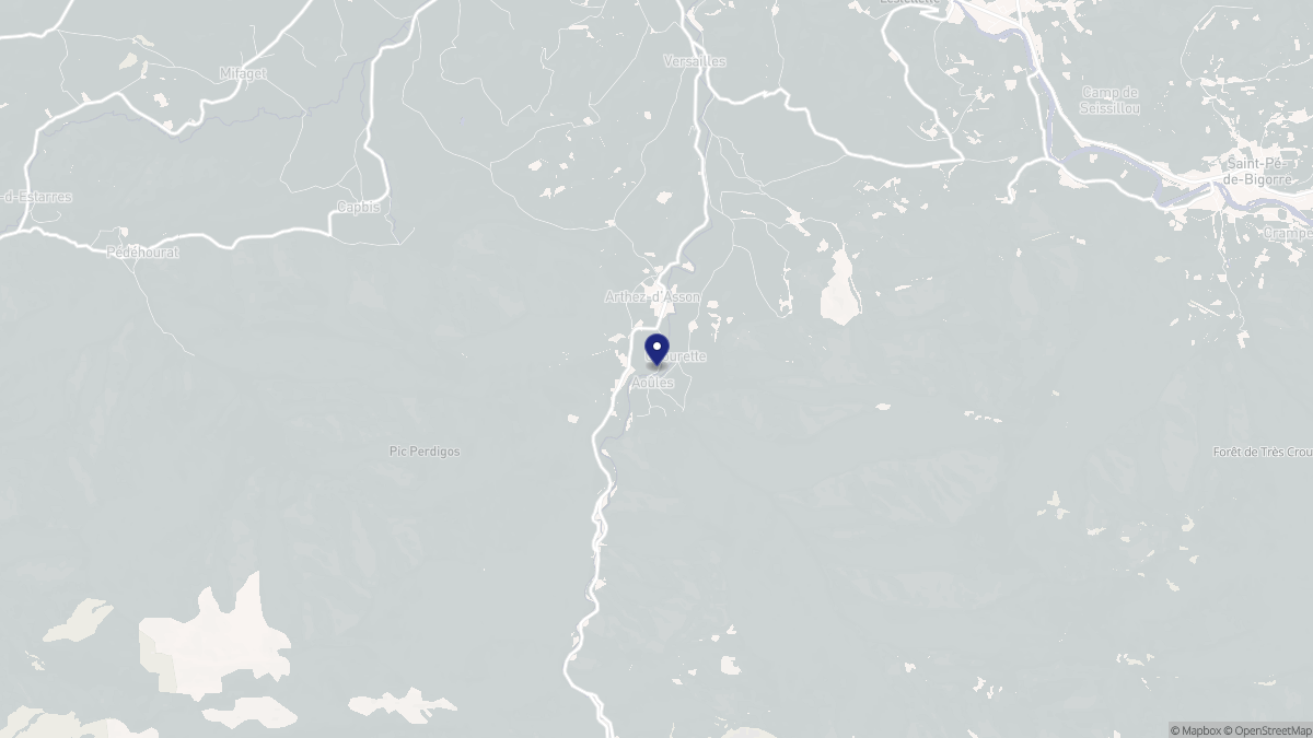 Aperçu cartographique de Arthez-d'Asson, centré sur la commune