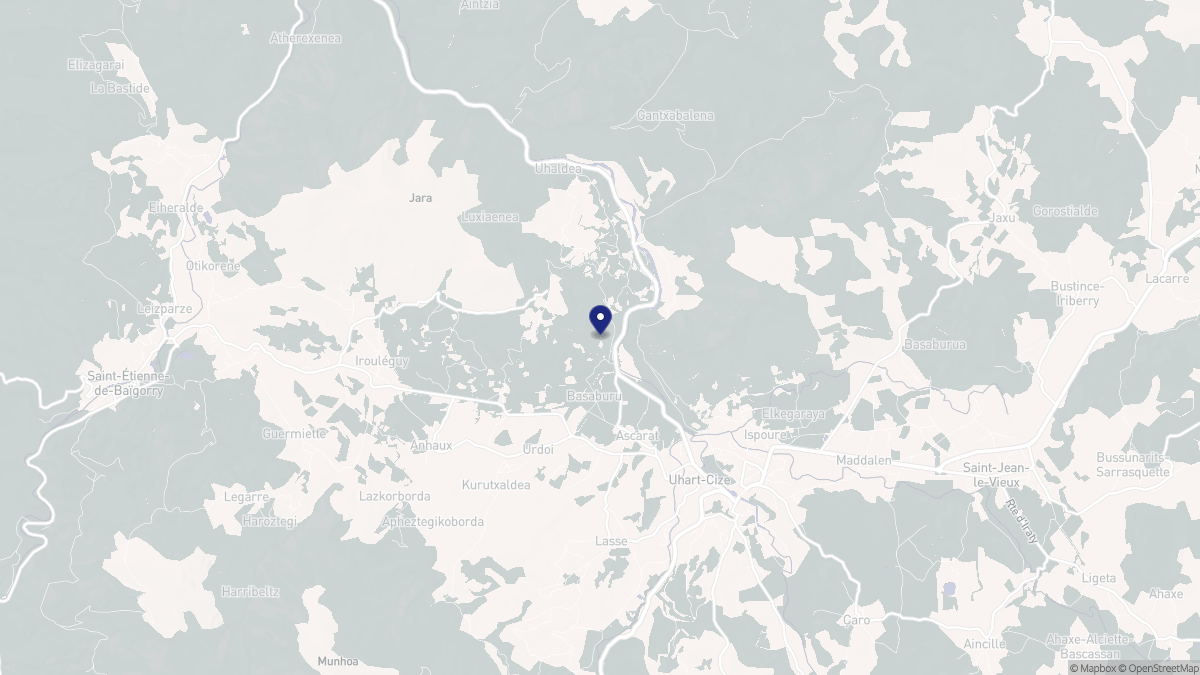 Aperçu cartographique de Ascarat, centré sur la commune