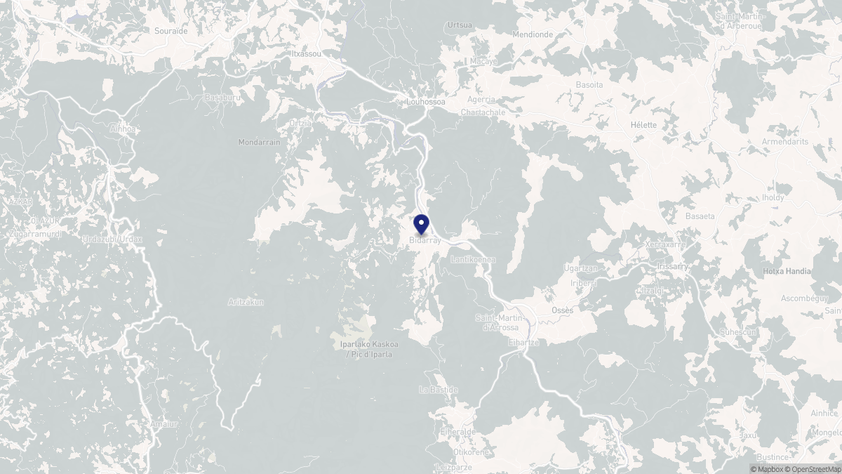 Aperçu cartographique de Bidarray, centré sur la commune