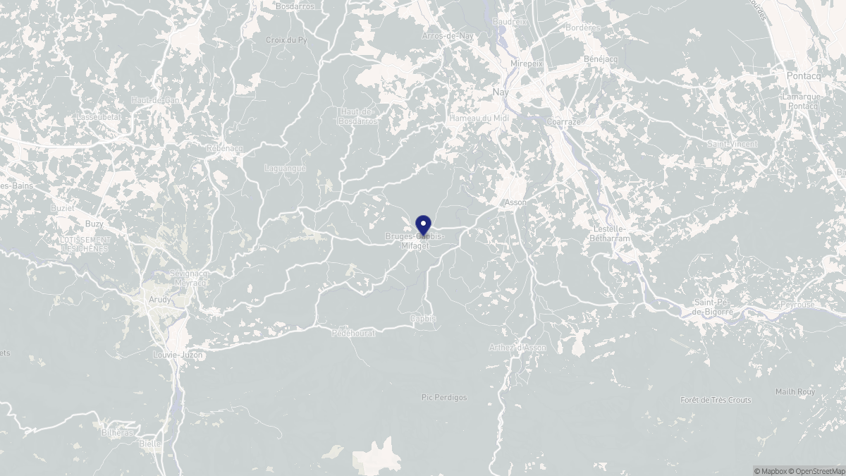 Aperçu cartographique de Bruges-Capbis-Mifaget, centré sur la commune