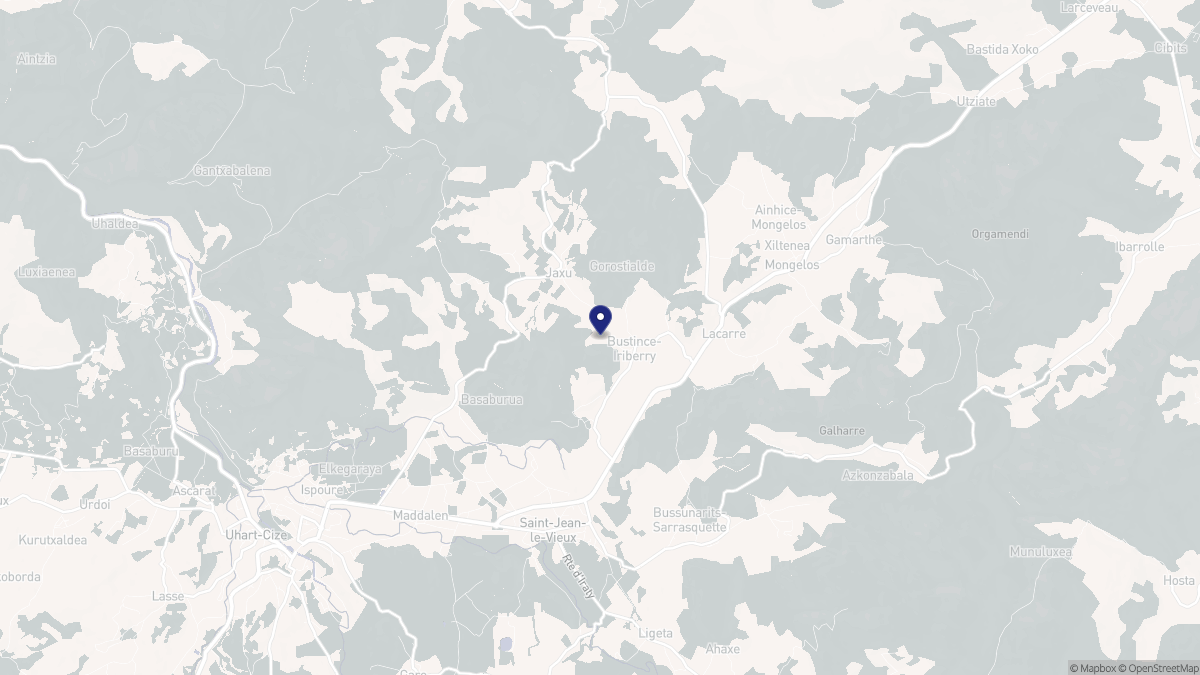 Aperçu cartographique de Bustince-Iriberry, centré sur la commune