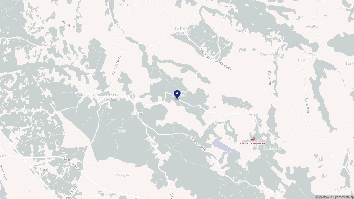 Aperçu cartographique de Castillon (Canton d'Arthez-de-Béarn), centré sur la commune