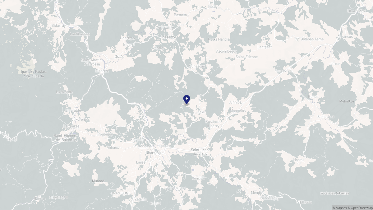 Aperçu cartographique de Jaxu, centré sur la commune