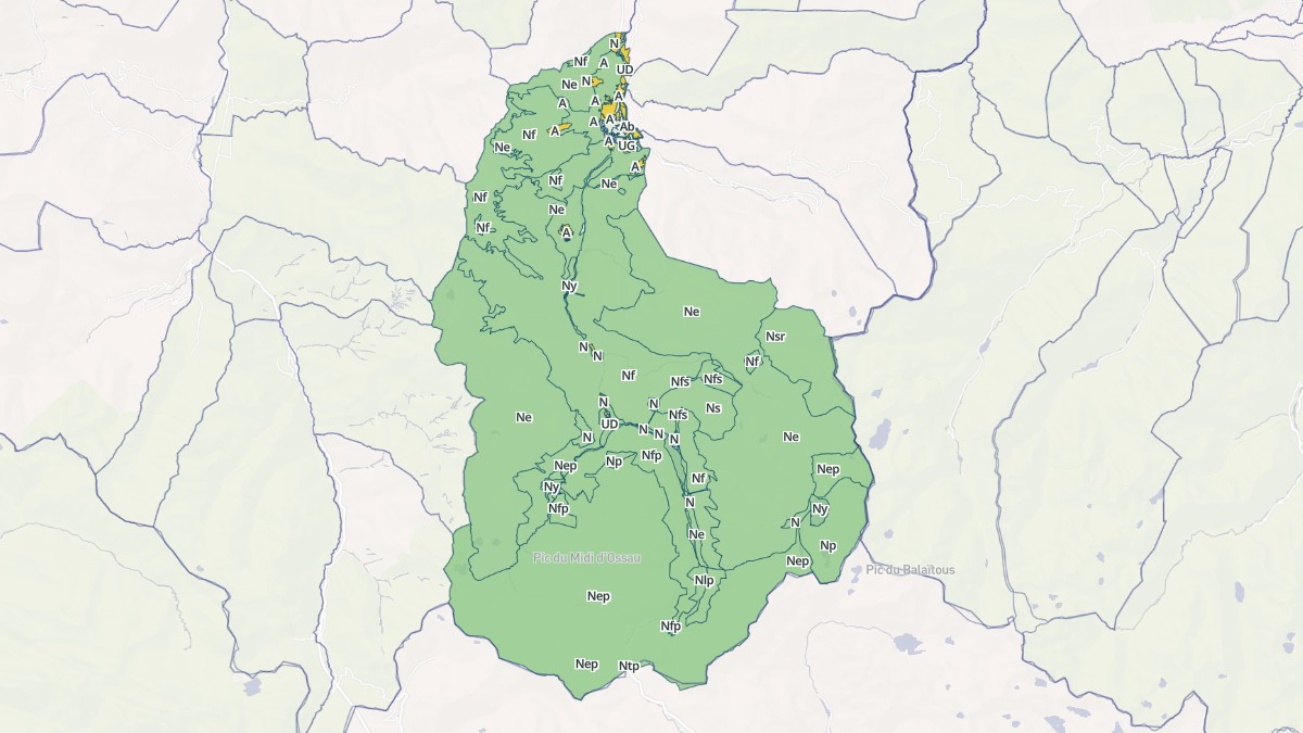 Aperçu cartographique de Laruns, centré sur la commune