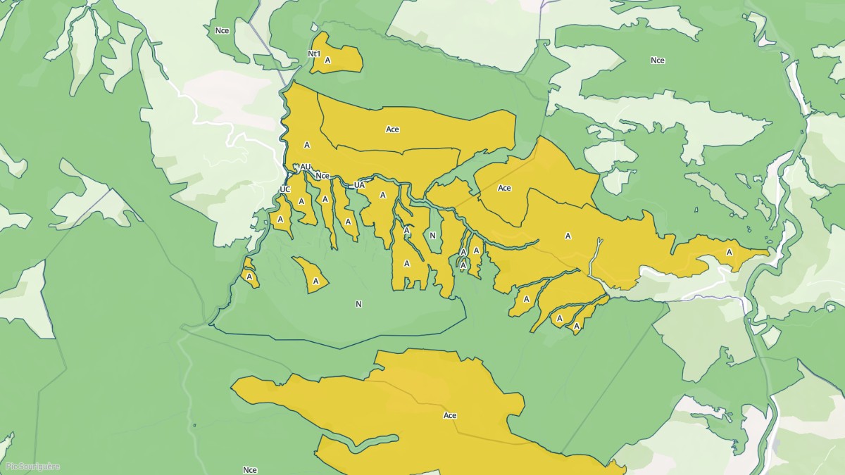 Aperçu cartographique de Lourdios-Ichère, centré sur la commune