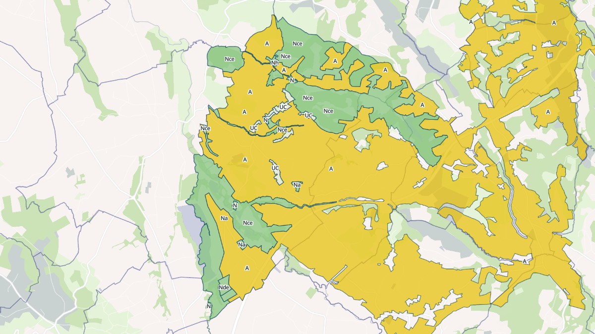 Aperçu cartographique de Momas, centré sur la commune