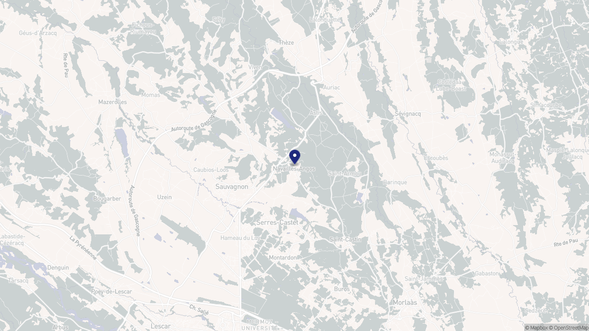 Aperçu cartographique de Navailles-Angos, centré sur la commune