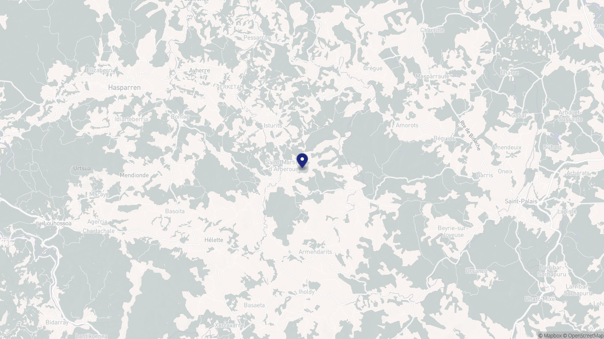 Aperçu cartographique de Saint-Martin-d'Arberoue, centré sur la commune
