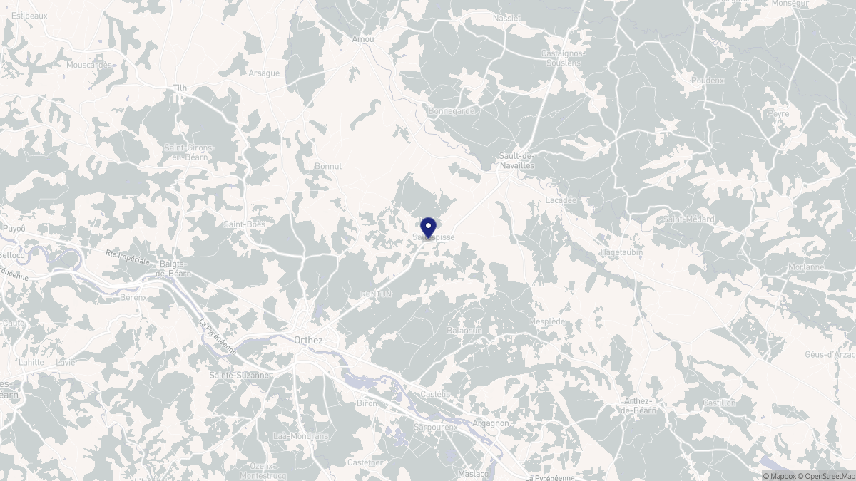 Aperçu cartographique de Sallespisse, centré sur la commune
