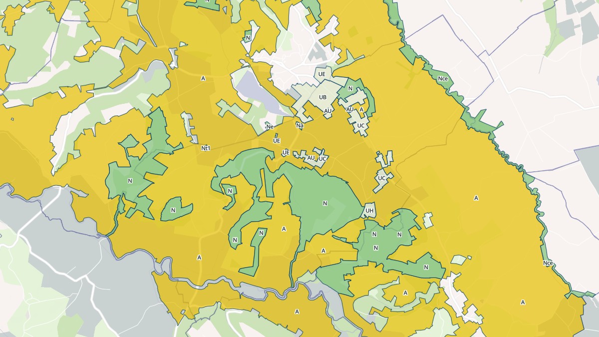 Aperçu cartographique de Vignes, centré sur la commune